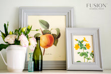 Load image into Gallery viewer, Pebble Pint of Paint