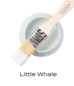 Little Whale Pint of Paint