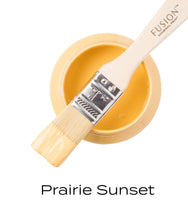 Load image into Gallery viewer, Prairie Sunset Pint of Paint
